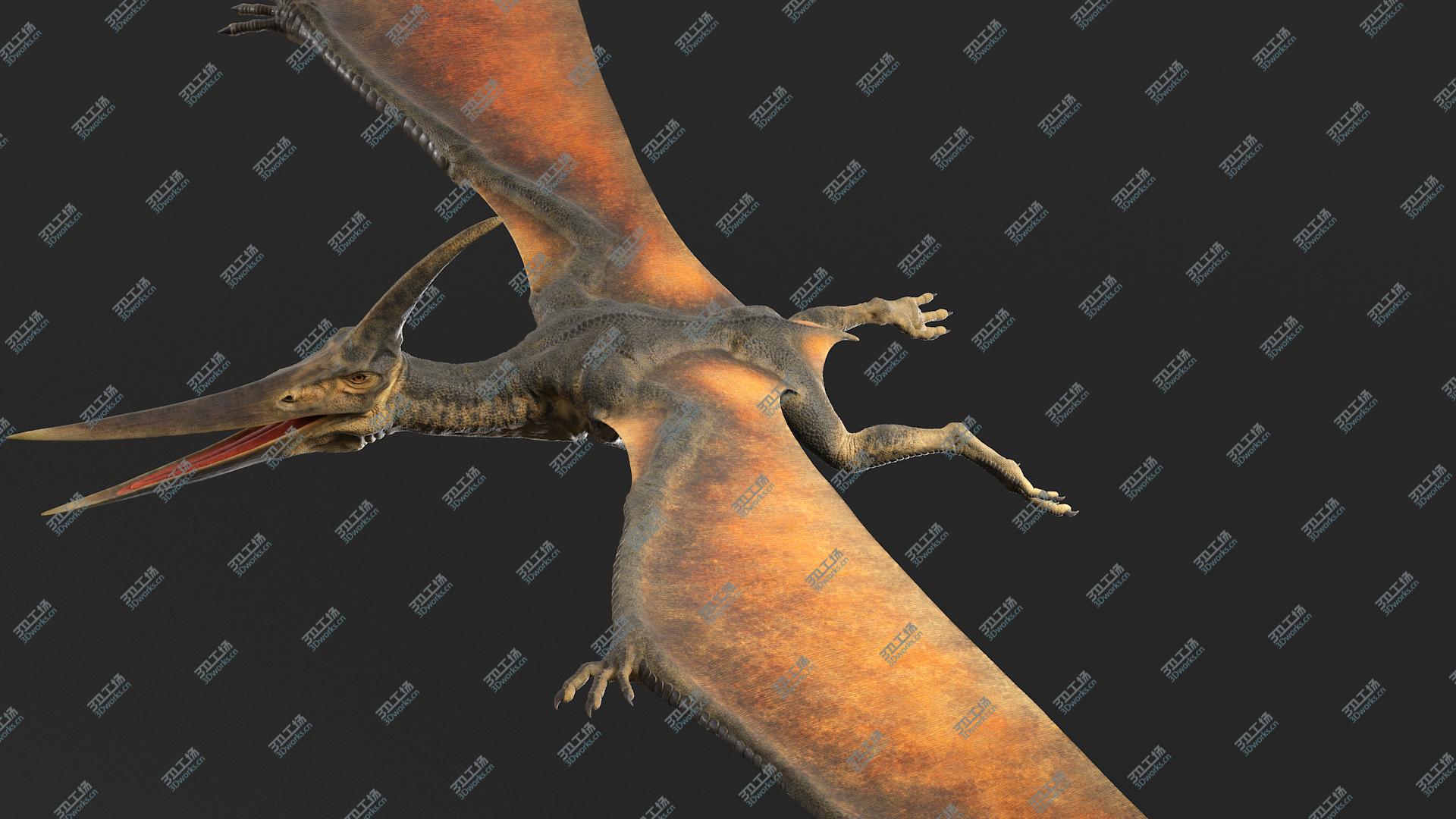 images/goods_img/20210313/3D Pteranodon No Rig(1)/2.jpg